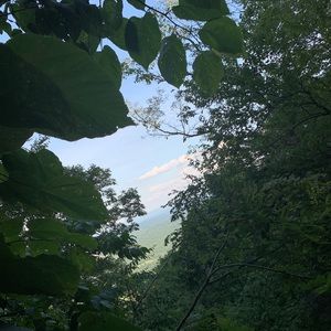 Meet your Posher, Zane